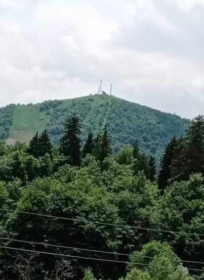 Hotel Archi Kokhta Bakuriani Esterno foto